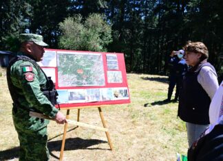 Gobernadora Delfina Gómez Álvarez supervisa el combate a incendios forestales en Jilotzingo y Ocuilan