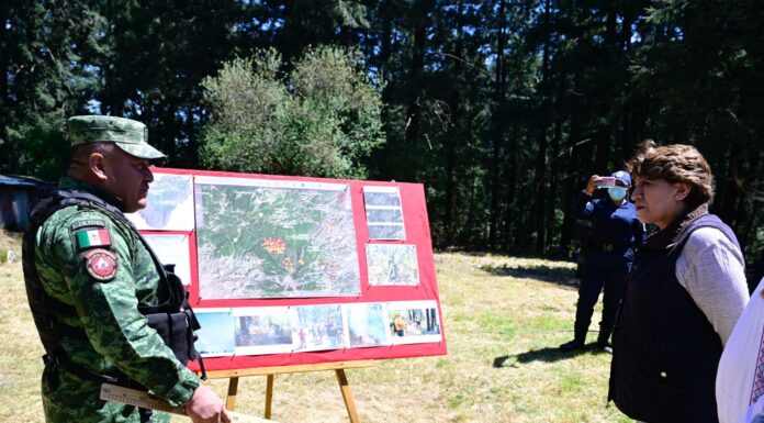 Gobernadora Delfina Gómez Álvarez supervisa el combate a incendios forestales en Jilotzingo y Ocuilan