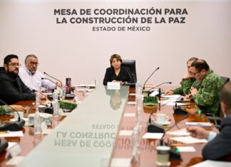 Delfina Gómez no vacaciona, acciona contra los incendios forestales en Edomex