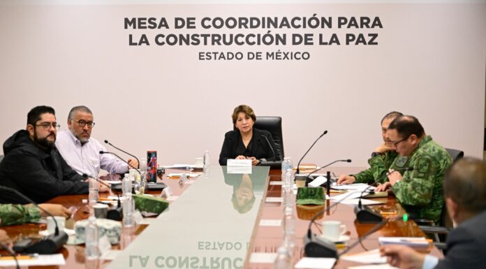 Delfina Gómez no vacaciona, acciona contra los incendios forestales en Edomex