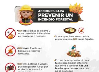 Emite Protección Civil recomendaciones para prevenir incendios forestales en el Estado de México