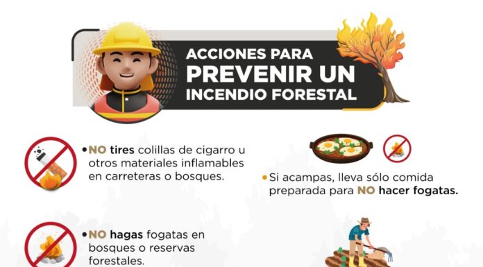 Emite Protección Civil recomendaciones para prevenir incendios forestales en el Estado de México
