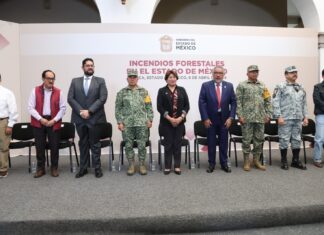 Gobierno del Estado de México y Gobierno Federal han abatido más de 600 incendios forestales en la entidad