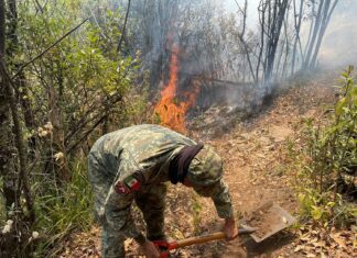 Gobierno de Delfina Gómez sofoca incendios forestales; despliega helicópteros, drones y brigadas