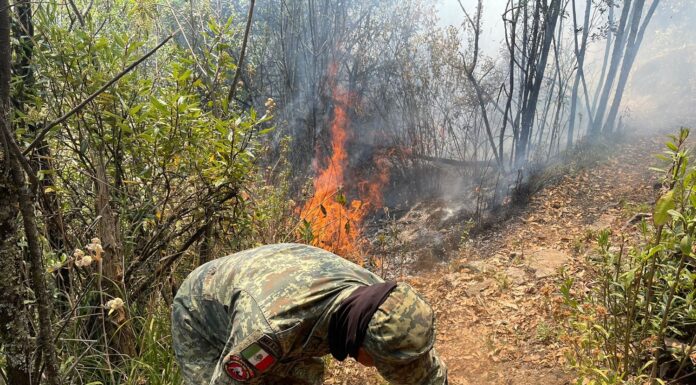 Gobierno de Delfina Gómez sofoca incendios forestales; despliega helicópteros, drones y brigadas