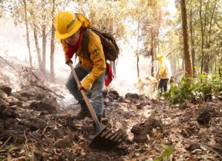 Gobierno de Delfina Gómez dará hoy un informe sobre incendios forestales en Edomex