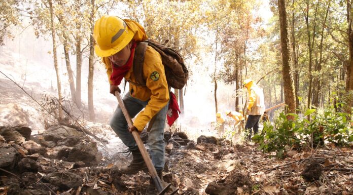 Gobierno de Delfina Gómez dará hoy un informe sobre incendios forestales en Edomex