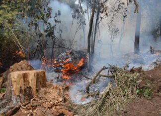 Combaten incendios 54 “Brigadas Dragones” en el Estado de México; trabajan en coordinación tres órdenes de gobierno