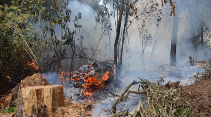 Combaten incendios 54 “Brigadas Dragones” en el Estado de México; trabajan en coordinación tres órdenes de gobierno
