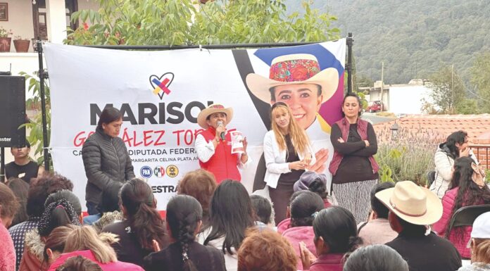 Seré la mejor diputada federal: González Torres