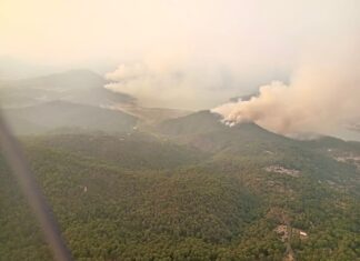 Brigadas de los tres órdenes de gobierno atienden incendio forestal en Valle de Bravo