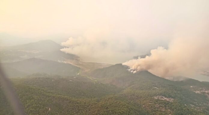 Brigadas de los tres órdenes de gobierno atienden incendio forestal en Valle de Bravo
