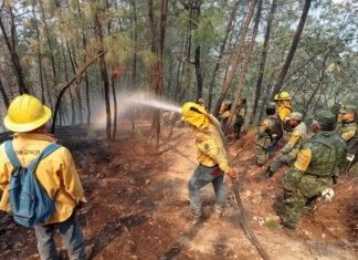 Brigadas de los tres órdenes de Gobierno, extinguen Incendio forestal en Tejupilco