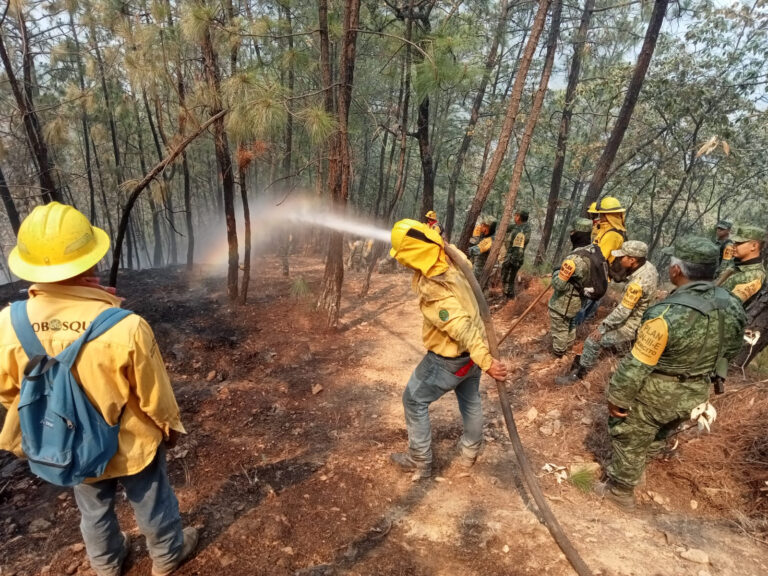 Brigadas de los tres órdenes de Gobierno, extinguen Incendio forestal en Tejupilco