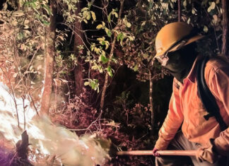 Gobierno del Estado de México despliega Mando Unificado con 154 brigadistas para combatir incendios en Valle de Bravo