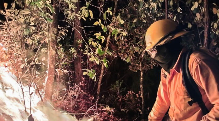 Gobierno del Estado de México despliega Mando Unificado con 154 brigadistas para combatir incendios en Valle de Bravo