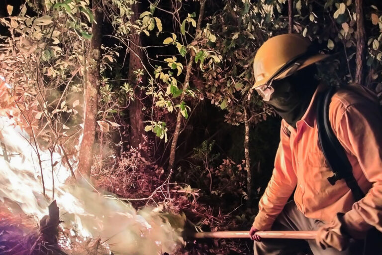 Gobierno del Estado de México despliega Mando Unificado con 154 brigadistas para combatir incendios en Valle de Bravo