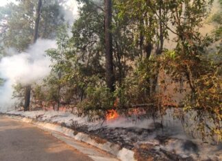 Bajo control tres incendios forestales en Valle de Bravo: informa Gobierno del Estado de México
