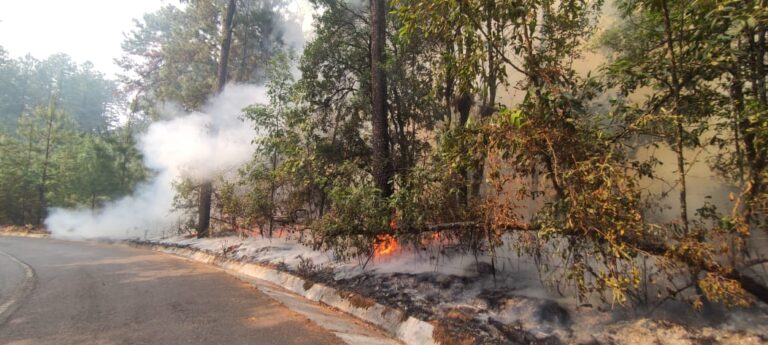 Bajo control tres incendios forestales en Valle de Bravo: informa Gobierno del Estado de México