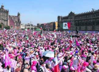 Marea rosa es priísta, ¿tapándose las narices?