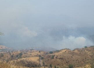 Brigadistas de Probosque liquidan incendio forestal en Sierra de Nanchititla y atienden otro en Tlatlaya