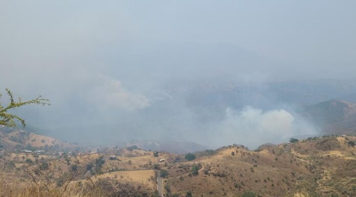 Brigadistas de Probosque liquidan incendio forestal en Sierra de Nanchititla y atienden otro en Tlatlaya