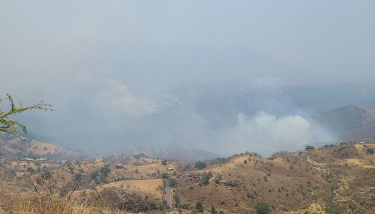 Brigadistas de Probosque liquidan incendio forestal en Sierra de Nanchititla y atienden otro en Tlatlaya