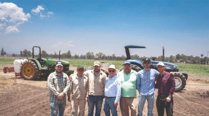 Dos Décadas de Logros en el Campo Experimental San Martín: Un Hito en Agricultura Sostenible