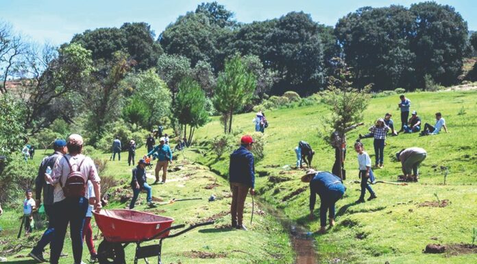Couttolenc arranca campaña árbol por voto