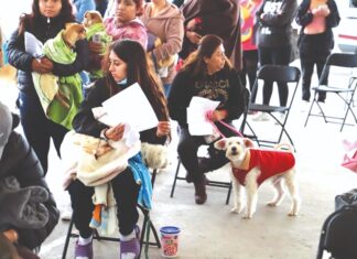 Realiza Durante el Mes de Junio la Unidad de Control de Bienestar Animal de Tecámac Jornadas de Esterilización Gratuitas