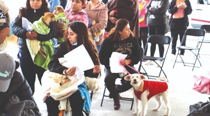 Realiza Durante el Mes de Junio la Unidad de Control de Bienestar Animal de Tecámac Jornadas de Esterilización Gratuitas