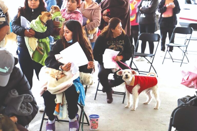 Realiza Durante el Mes de Junio la Unidad de Control de Bienestar Animal de Tecámac Jornadas de Esterilización Gratuitas