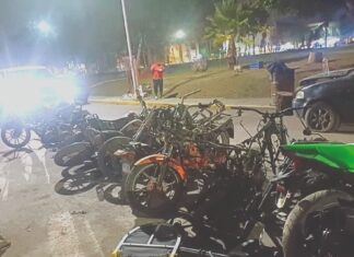 Aseguran 28 motocicletas y una tonelada y media de autopartes durante cateo en inmueble de Tultepec
