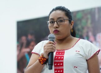 Vinculan a edil electa de Villa de Carbón con talamontes