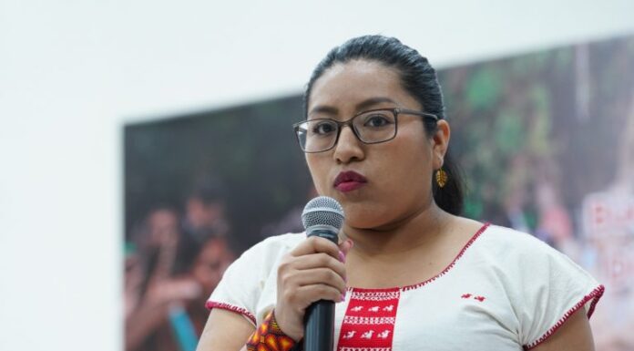 Vinculan a edil electa de Villa de Carbón con talamontes