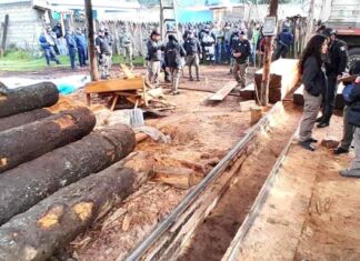 Instruye implementar operativos contra tala clandestina en el sur del EdoMéx