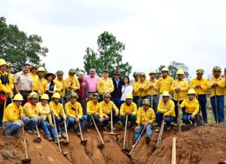 Gobierno del Estado de México pone en marcha Plan de Restauración Forestal y entrega apoyos económicos a ejidatarios