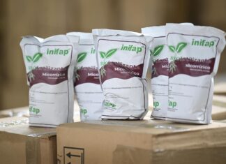 72 mil toneladas de fertilizante a productores del campo