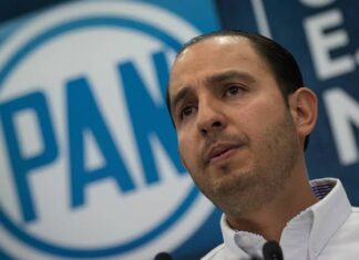 Marko Cortés, el presidente del PAN con 70 hectáreas de aguacate