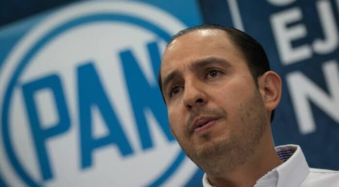 Marko Cortés, el presidente del PAN con 70 hectáreas de aguacate