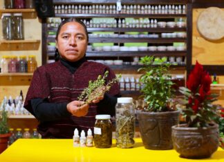 Apoyará gobierno del Estado de México la medicina tradicional