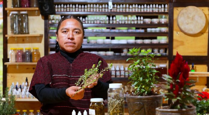 Apoyará gobierno del Estado de México la medicina tradicional