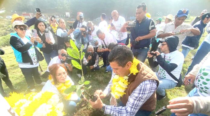 Ixtlahuaca y la asociación APYCM realiza Jornada de Reforestación