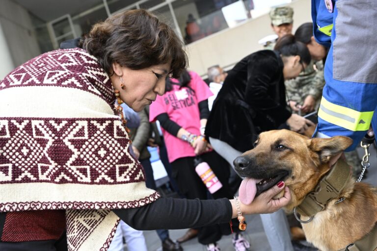 Gobernadora Delfina Gómez impulsa el bienestar animal con Jornadas de Esterilización, Vacunación y Desparasitación Canina y Felina en Amecameca