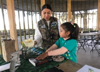 Comecyt invita a la niñez mexiquense a participar en el curso “Verano en la Ciencia”