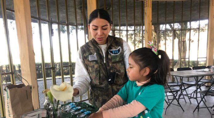 Comecyt invita a la niñez mexiquense a participar en el curso “Verano en la Ciencia”