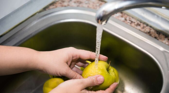 En estas vacaciones, el ISSEMYM pide extremar precauciones para evitar enfermedades gastrointestinales, de la piel y respiratorias