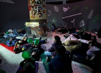 Talleres, música y avistamiento de aves son actividades para disfrutar en los recorridos de las Noches de Museos en el Estado de México