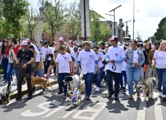 Gobernadora Delfina Gómez Álvarez promueve el bienestar animal con caminata y caravanas de atención a mascotas y animales en situación de calle