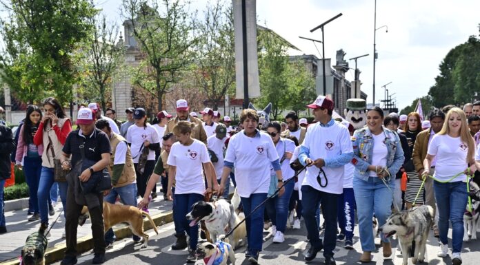 Gobernadora Delfina Gómez Álvarez promueve el bienestar animal con caminata y caravanas de atención a mascotas y animales en situación de calle